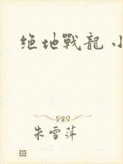绝地战龙 小说封面