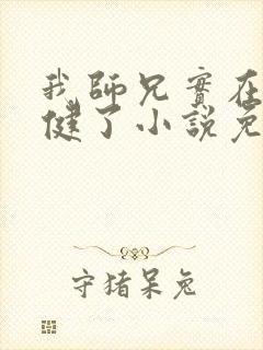 我师兄实在太稳健了小说免费阅读的