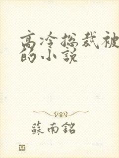 高冷总裁被催眠的小说封面