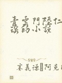 青云门陆仁云青瑶的小说封面