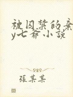 被囚禁的弃妃by七爷小说封面