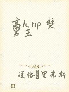 高h np 双男主