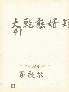 大乾憨婿 短剧 41