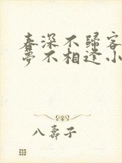 春深不归客,清梦不相逢小说阅读
