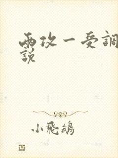 两攻一受调教小说