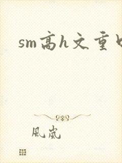 sm高h文重口