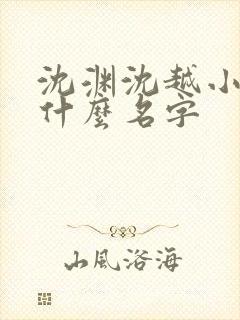 沈渊沈越小说叫什么名字
