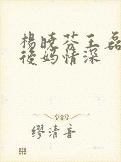 杨晓芬王磊小说后妈情深封面