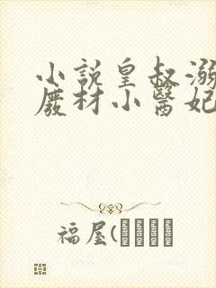 小说皇叔溺宠:废材小医妃免费
