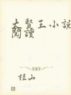 大贤王小说免费阅读封面