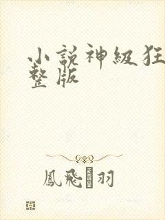 小说神级狂婿完整版