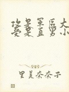 攻是军区大佬,受是直男小说