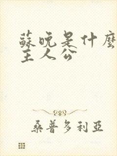 苏晚是什么小说主人公封面