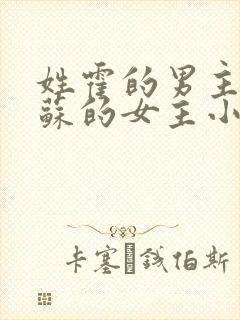 姓霍的男主和姓苏的女主小说