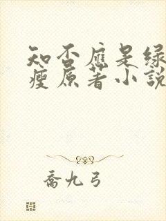 知否应是绿肥红瘦原著小说免费阅读封面