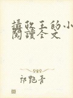 摄政王的小闲妻阅读全文