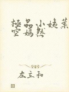 极品小姨叶凡司空嫣然