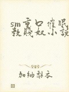 sm重口催眠调教贱奴小说