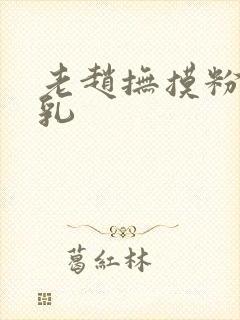 老赵抚摸粉嫩双乳封面