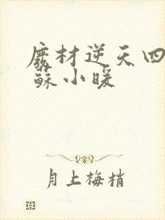 废材逆天四小姐 苏小暖封面