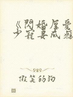 《闪婚厚爱:墨少宠妻成瘾》封面