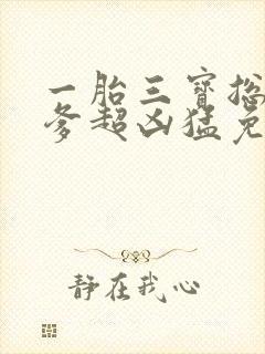 一胎三宝总裁爹爹超凶猛免费阅读