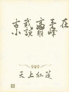 古武高手在都市小说罗峰