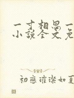 一寸相思一寸灰小说全文免费阅读