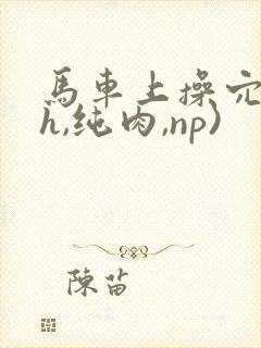 马车上操穴(高h,纯肉,np)