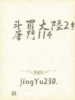 斗罗大陆2绝世唐门114封面
