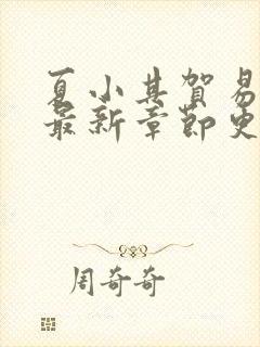 夏小其贺易小说最新章节更新