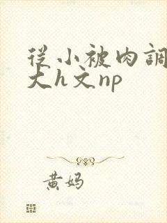从小被肉调教到大h文np