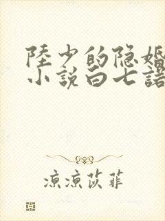 陆少的隐婚罪妻小说白七诺