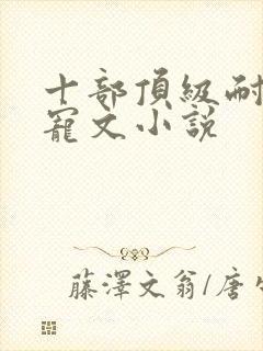 十部顶级耐看甜宠文小说