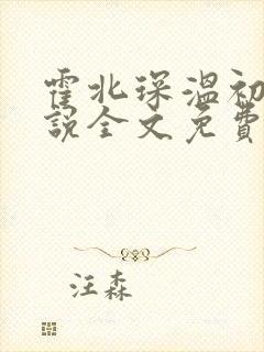 霍北琛温初的小说全文免费阅读封面