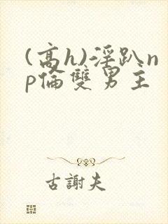 (高h)淫趴np伦双男主封面