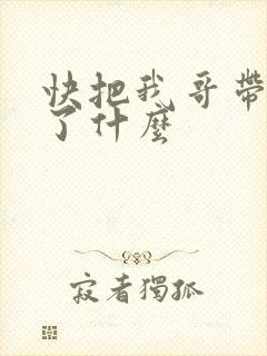 快把我哥带走讲了什么
