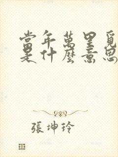 当年万里觅封侯是什么意思