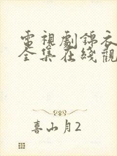 电视剧锦衣之下全集在线观看免费