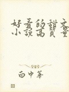 好看的甜文言情小说高质量文笔好