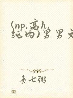 (np,高h,纯肉)男男文封面