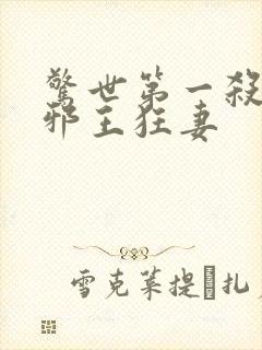 惊世第一杀手妃邪王狂妻封面