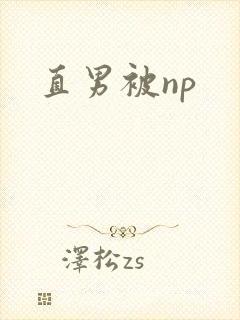直男被np封面