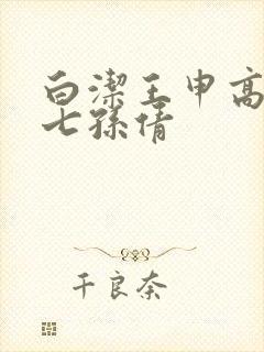 白洁王申高义老七孙倩
