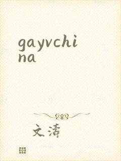 gayvchina封面