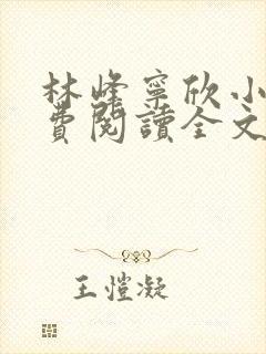 林峰宁欣小说免费阅读全文最新章节宁饮