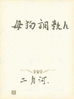 母狗调教h封面
