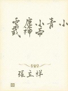 云尘小青小说天武神帝