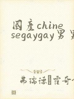 国产chinesegaygay男男网站