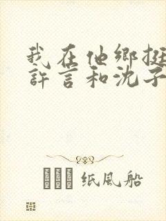 我在他乡挺好的许言和沈子畅结局
